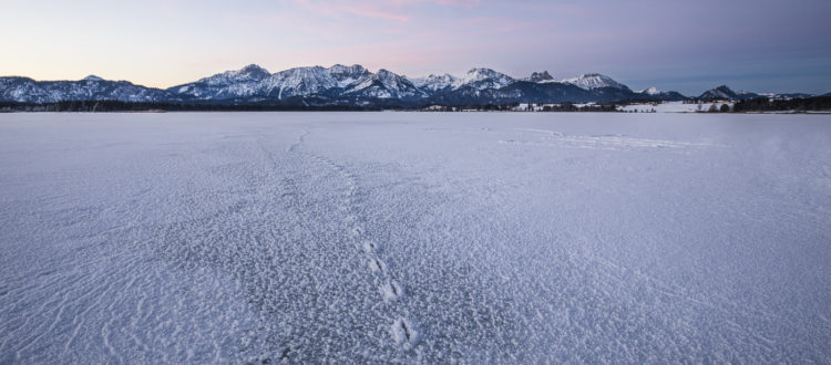 winterwonderland von Stefan Mayr Fotografie