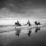 Irland Horse and Hound