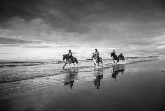 Irland Horse and Hound