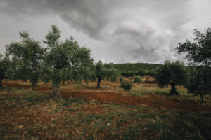 Peloponnes Stefan Mayr Fotografie