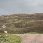 Single Track Road und Passing Place- Stefan Mayr Fotografie