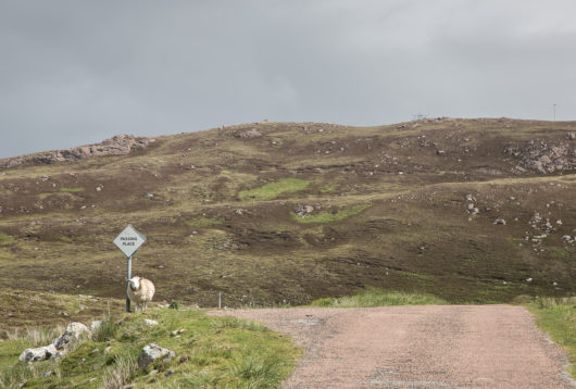 Single Track Road und Passing Place- Stefan Mayr Fotografie