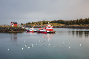 Roadtrip Norwegen - Fischerei - Stefan Mayr Fotografie