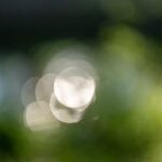 Stefan Mayr Lighthouse 2025