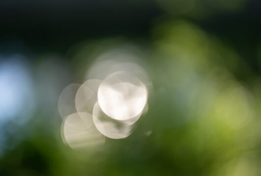 Stefan Mayr Lighthouse 2025