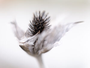 Dezember - Jahresrückblick 2025 - Stefan Mayr Lighthouse